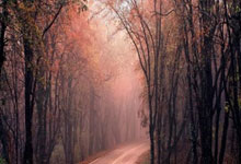 英超第38輪曼城5-0埃弗頓 阿圭羅雙響德布勞內傳射.