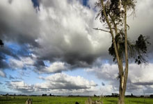 WTT仁川冠军赛开赛 王艺迪、梁靖崑、马龙获胜晋级.