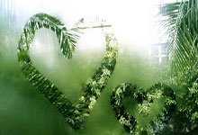 安博体育：[NBA]特雷·杨35分 老鹰客场轻取奇才.