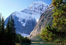 [流言板]阿隆索不喜欢处理球队内部政治问题，但皇马／曼城显然难实现18亮28回复.