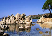 安博官方网站入口:12場不勝 只進5球!水晶宮解雇維埃拉!.